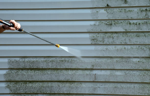 Best Solar Panel Cleaning  in Fairfield, TX